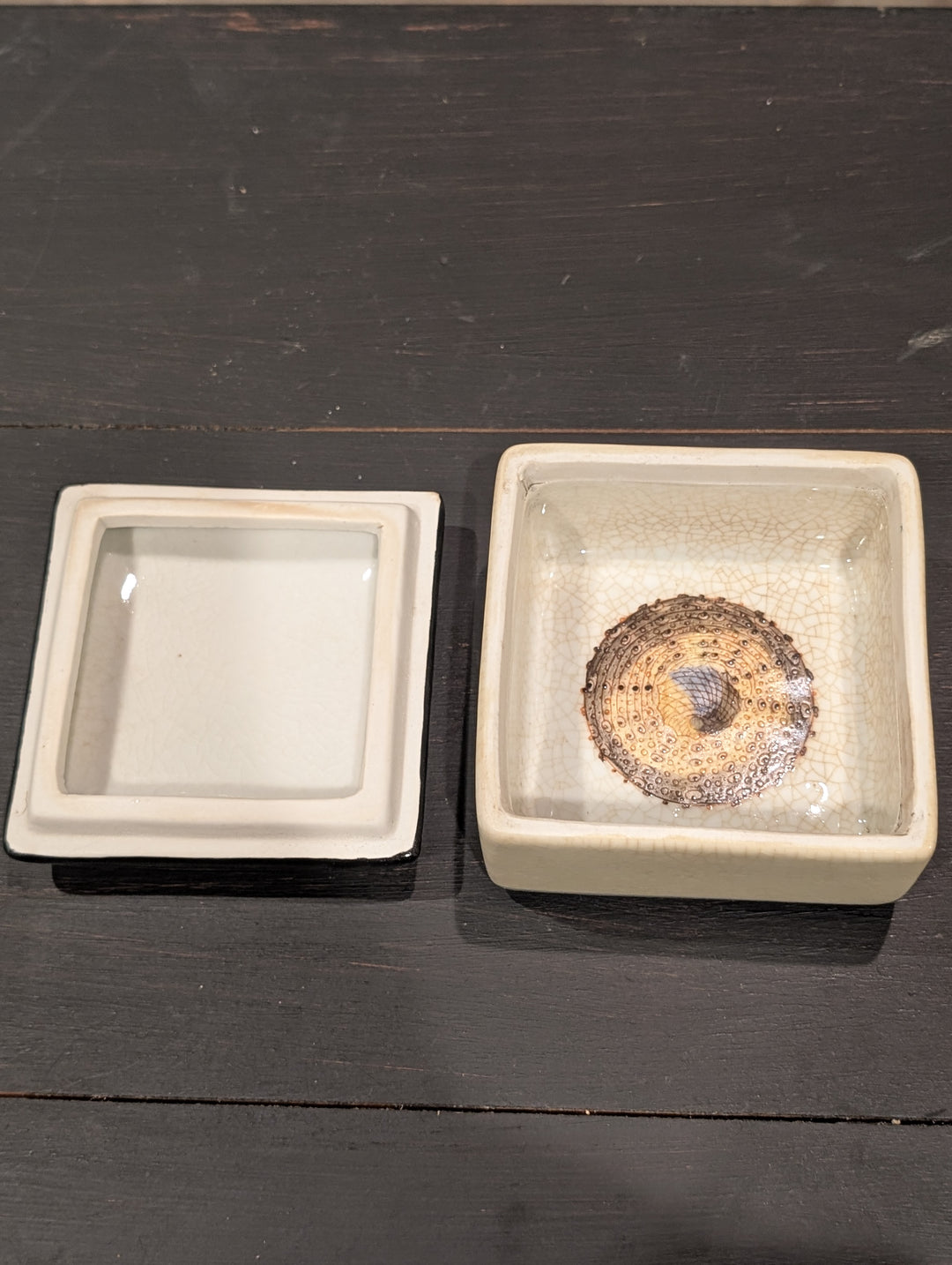HomArt sea urchin porcelain keepsake box shown open with an urchin painted inside