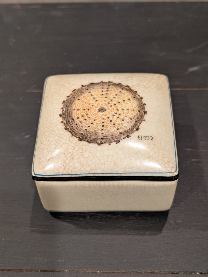 Top view of HomArt porcelain box lid with sea urchin shell marked No. 22