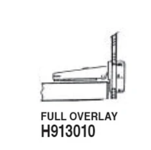 Full Overlay Brass Glass Door Hinge Example