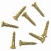 ANTIQUE BRASS OVAL HEAD SLOTTED WOOD SCREWS 20 COUNT 5X5/8 BM-1010AB