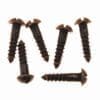 ANTIQUE BRASS ROUND HEAD SLOTTED WOOD SCREWS 20 COUNT 5X5/8 BM-1009AB