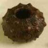 Aquatic Nautical Cast Iron Sea Urchin By Homart HA-1692-1