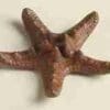 Cast Iron Starfish HA-1690-1